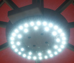 [101004] Umbrella light Pack